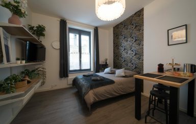 AppartUnique Chez Pomme Vichy-13 w