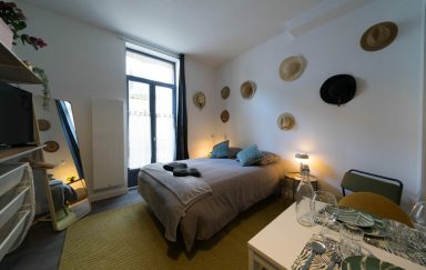 AppartUnique Chez Sauge Location Meublé Vichy-12 w