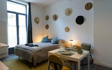 AppartUnique Chez Sauge Location Meublé Vichy-3 w