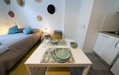 AppartUnique Chez Sauge Location Meublé Vichy-7 w